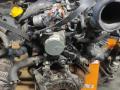 двигатель Renault Kangoo 2 поколение 2013, 1.5 л., дизель, МКПП, минивэн, K9K608 - фото №4